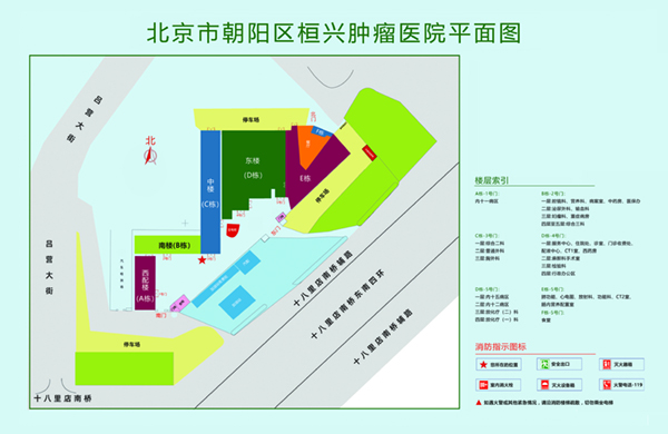 大鸡巴插进去免费网站北京市朝阳区桓兴肿瘤医院平面图